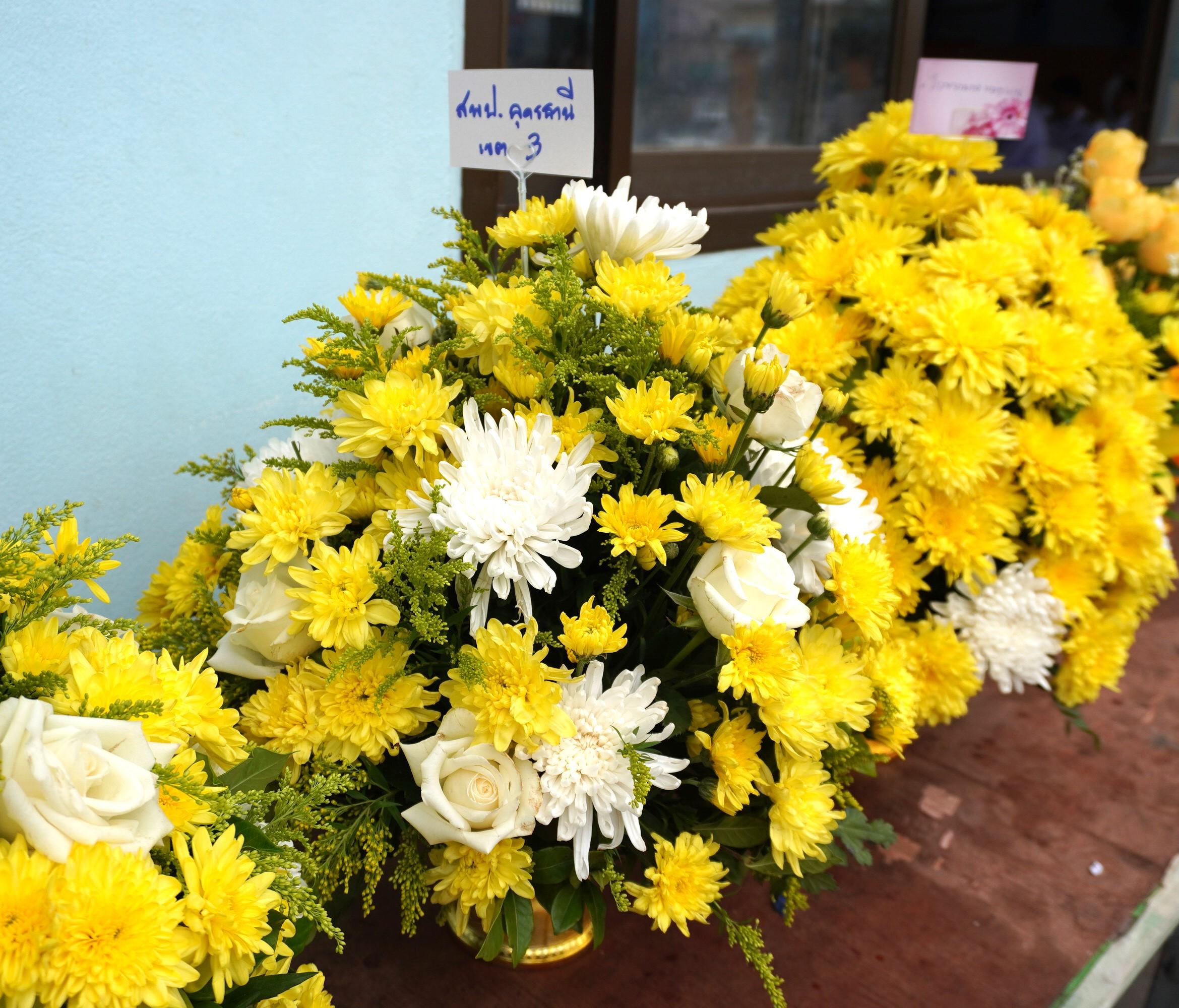 DSC07958.JPG