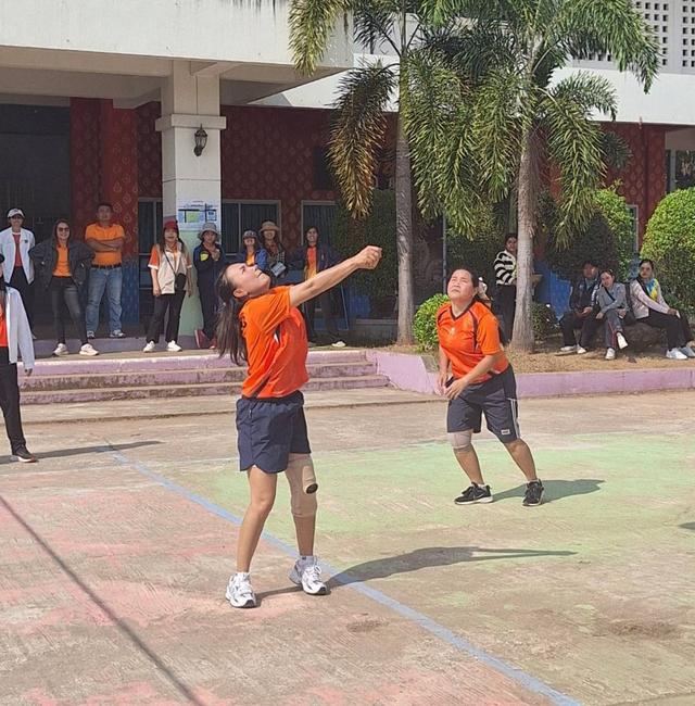 517845.jpg